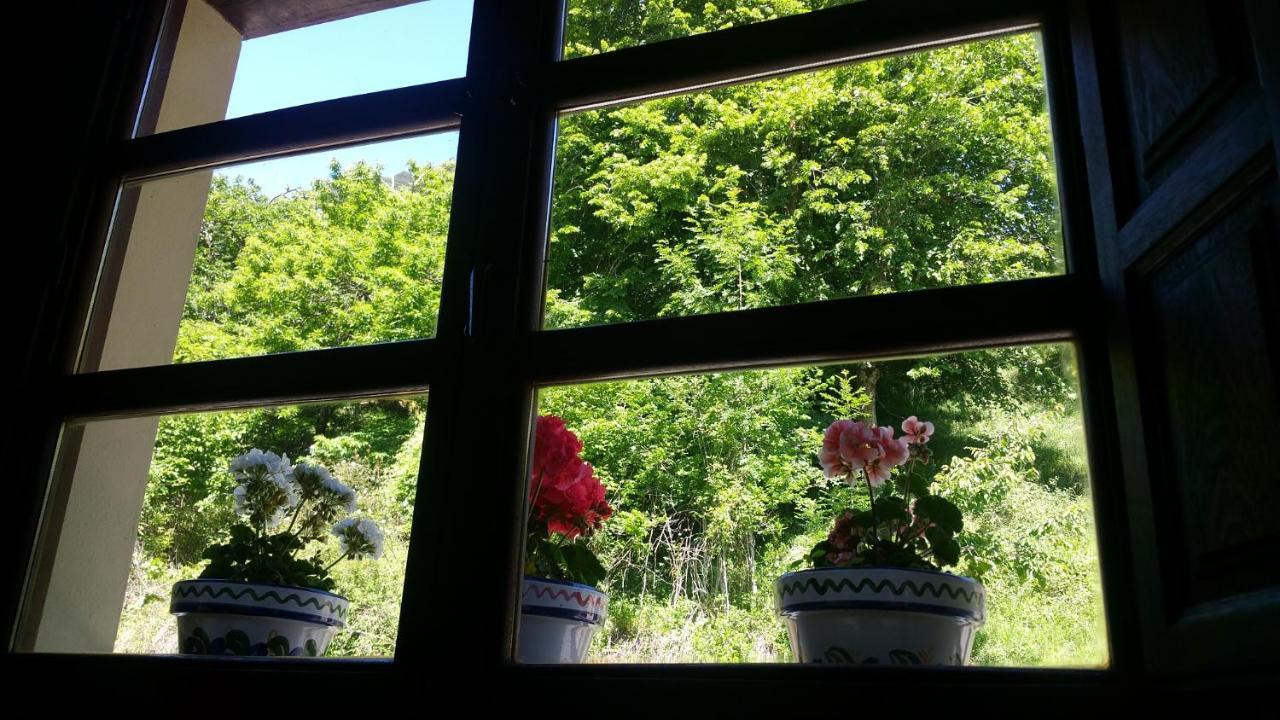 Del Ponton Chalet